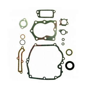 ZESTAW USZCZELEK B&S BRIGGS SERIA 625 650 675