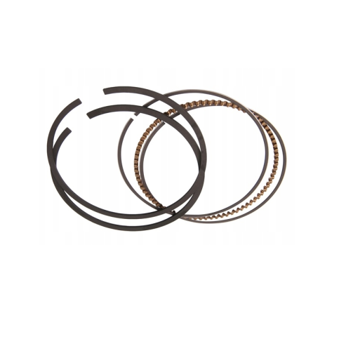 PIERŚCIENIE TŁOKA 1610.0018 16100018