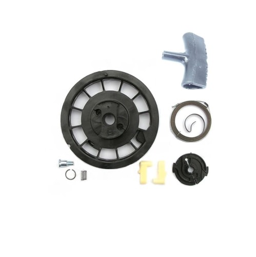 BRIGGS KOŁO SPRĘŻYNA UCHWYT ZABIERAKI ŚRUBA 791849