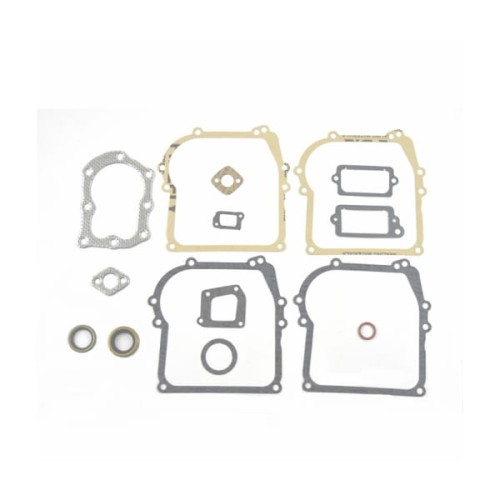 KOMPLET USZCZELEK B&S CLASSIC SPRINT 699933