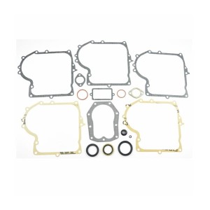 ZESTAW USZCZELEK B&S 25 28 PIONOWY WAŁ 494241