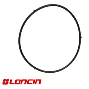 USZCZELKA KOMORY PŁYWAKA LONCIN G 390 42 F FD ORYG