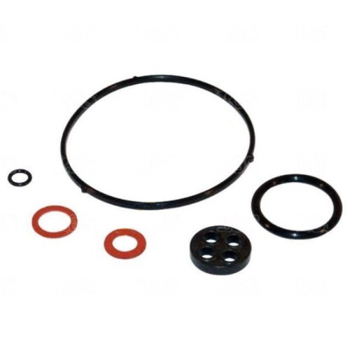 USZCZELKI GAŹNIKA PŁYWAKA HONDA GX200 F 401 501