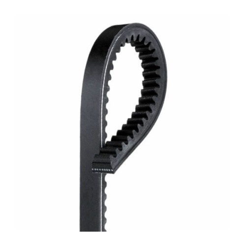 PASEK NAPĘDU CEDRUS KCL20SP GRAAS KCL19SP KCL21SP