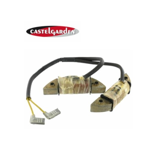 ALTERNATOR CEWKA GGP WM 12/12,5/14 118550210/1 O